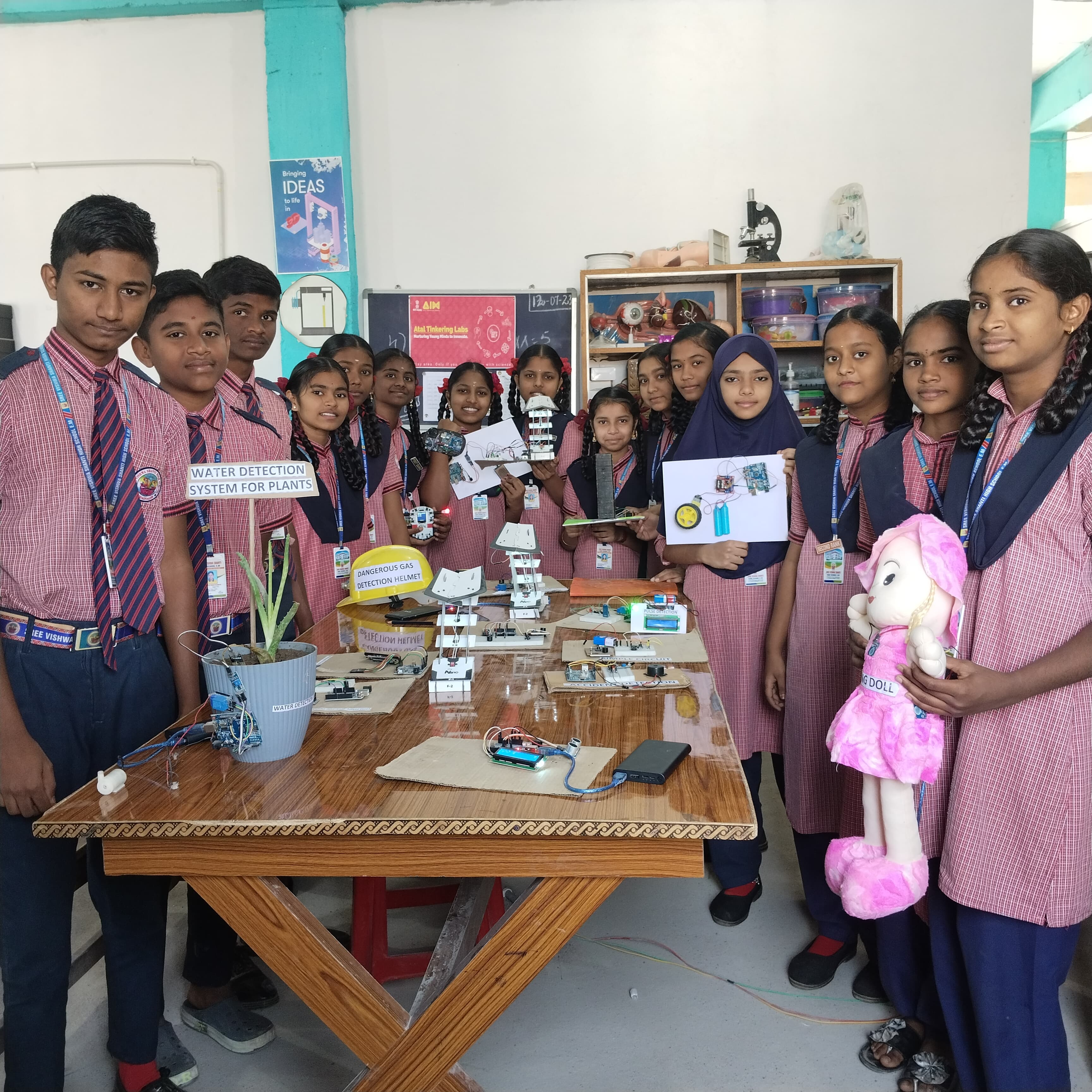 Student activity 5